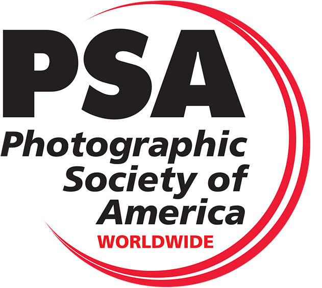 PSA Logo