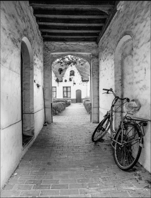 Tiled Image