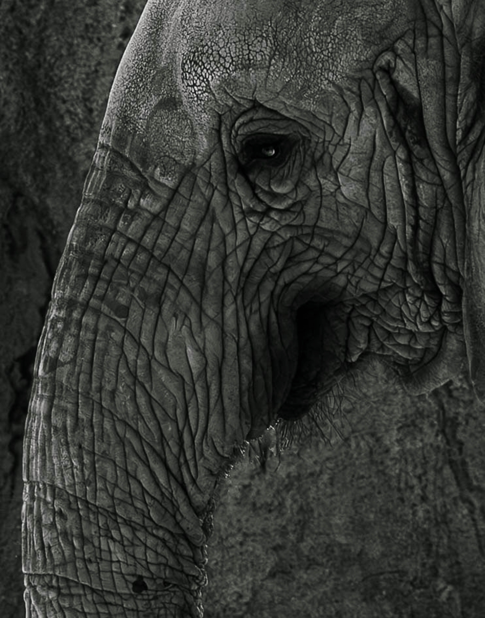 Tiled Image